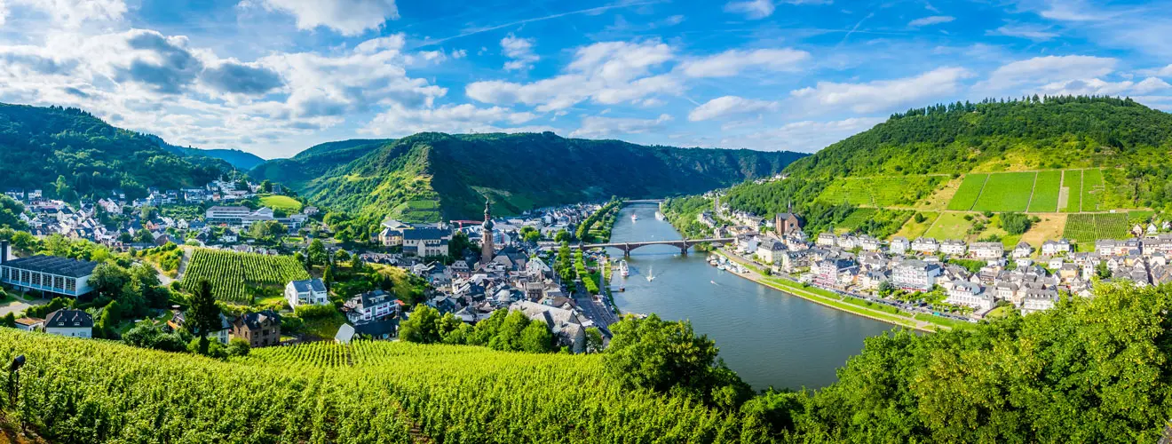 Blick über das Moseltal mit Weinbergen, Uferorten und einer Brücke