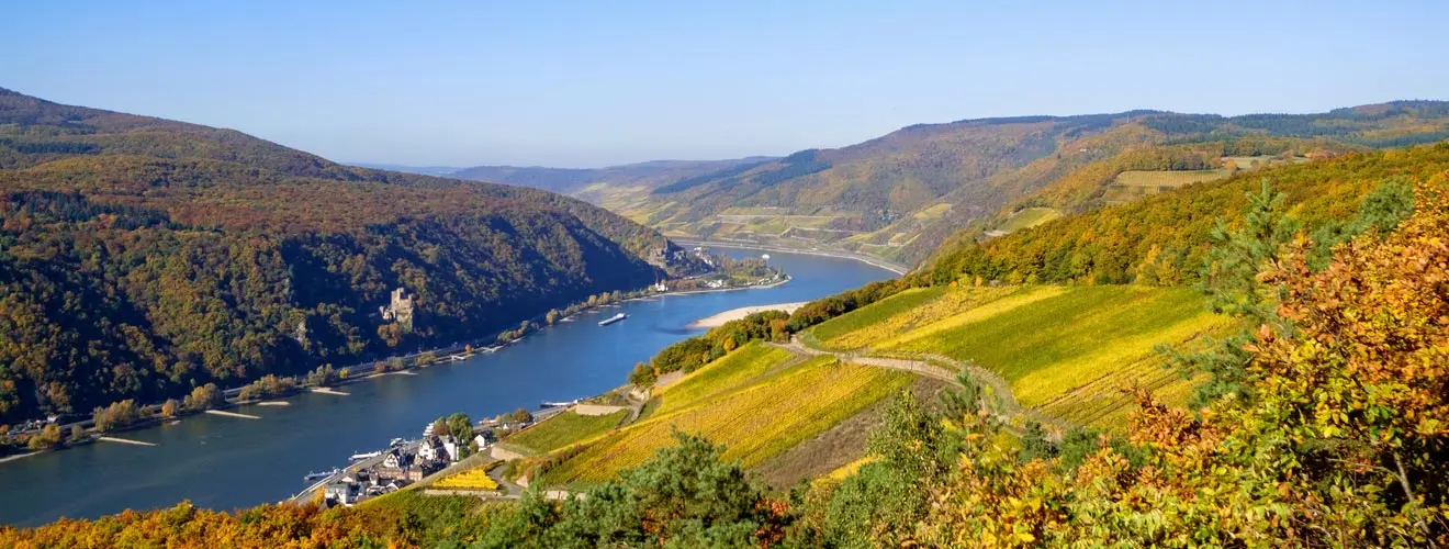 Flusslandschaft mit herbstlichen Weinbergen und bewaldeten Ufern
